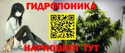 a pvp Кунгур