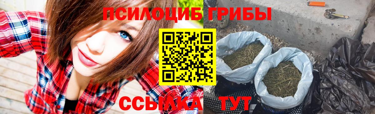 Галлюциногенные грибы MAGIC MUSHROOMS Канаш