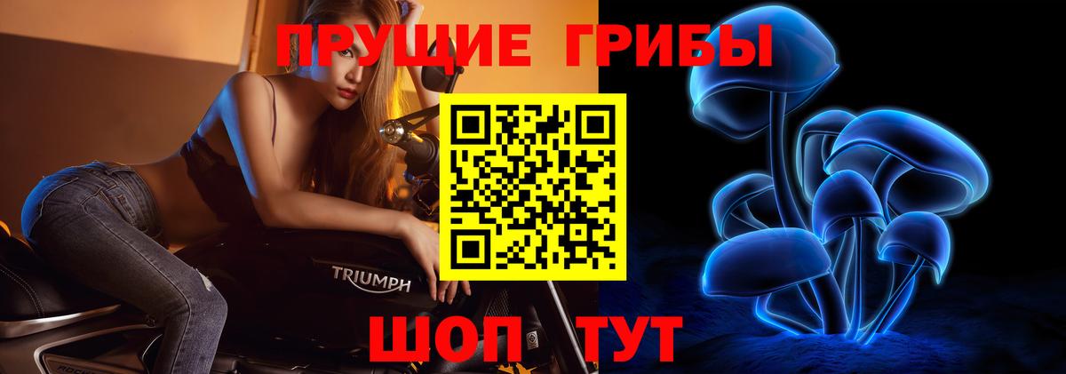 Галлюциногенные грибы Psilocybe  Вход с VPN  Канаш 